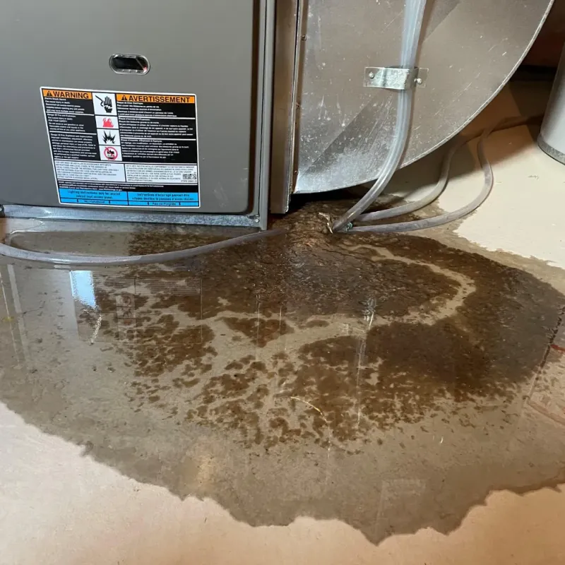 Appliance Leak Cleanup in Paradise, NV